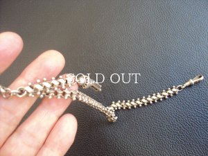 画像10: アルバーティナチェーン